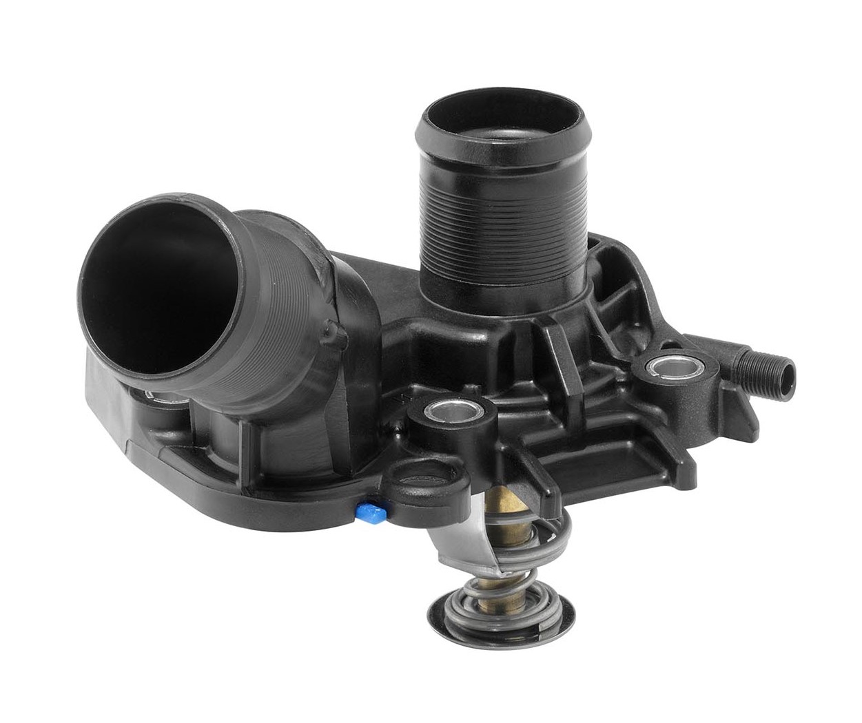Thermostat, coolant - 411025.89D BorgWarner (Wahler)