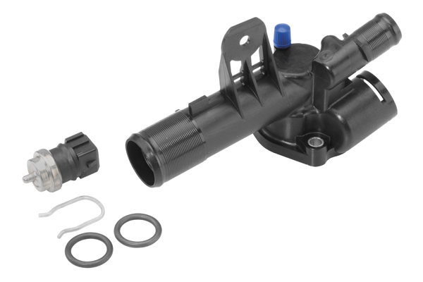 Thermostat, coolant - 411042.89D BorgWarner (Wahler)