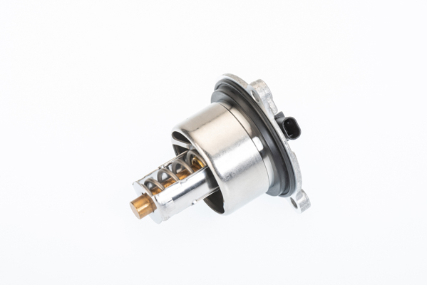 Thermostat, coolant - 411076.104D BorgWarner (Wahler)