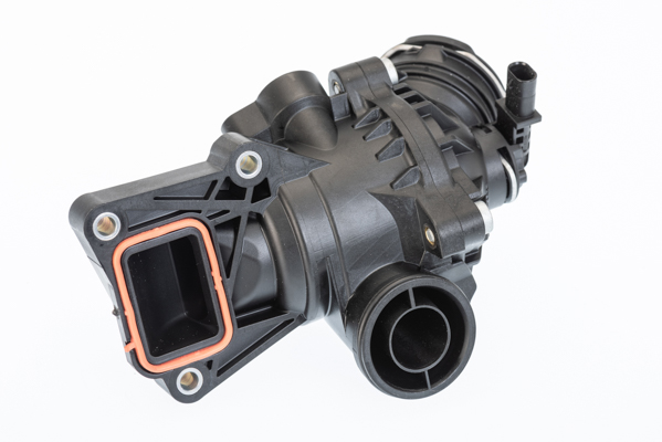 Thermostat, coolant - 411140.100D BorgWarner (Wahler)