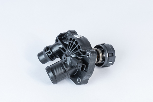 Thermostat, coolant - 411471.103D BorgWarner (Wahler)