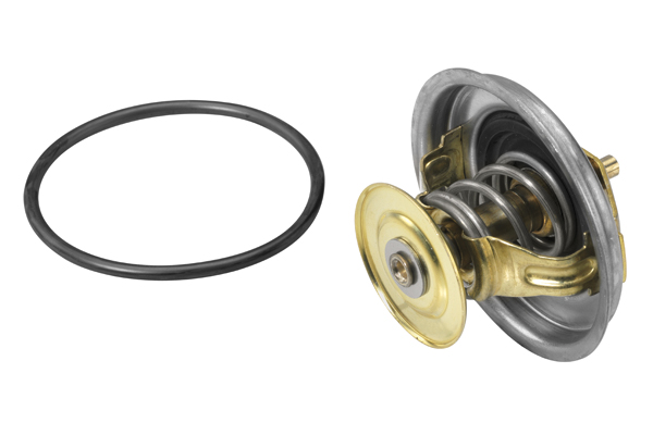 Thermostat, coolant - 4116.87D1 BorgWarner (Wahler)