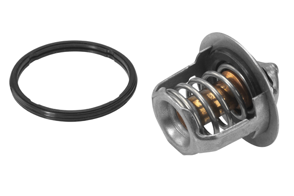 Thermostat, coolant - 411716.88D BorgWarner (Wahler)