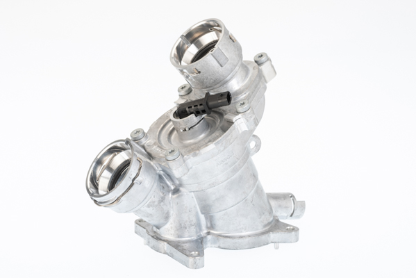 Thermostat, coolant - 411942.94D BorgWarner (Wahler)