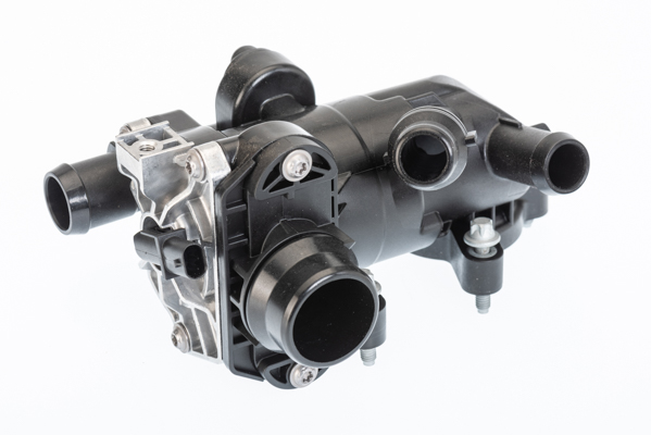 Termostato, Refrigerante - 412250.96D BorgWarner (Wahler)