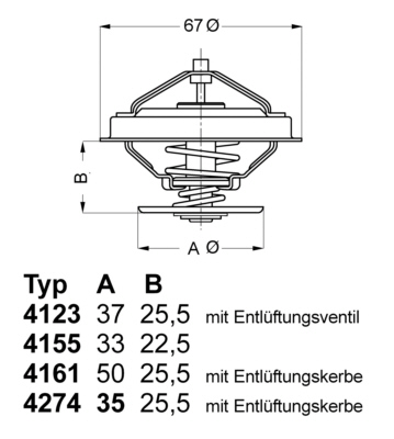 Termostato, Refrigerante - 4123.80D BorgWarner (Wahler)