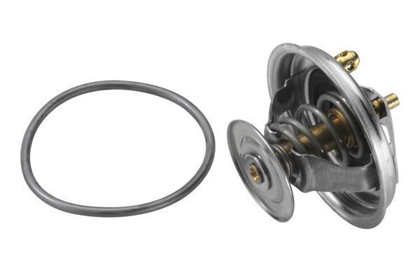 Thermostat, coolant - 4123.80D BorgWarner (Wahler)