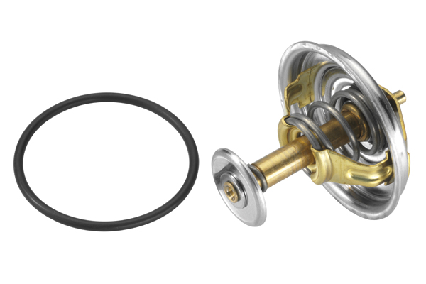 Thermostat, coolant - 4137.80D BorgWarner (Wahler)
