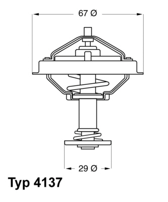 Thermostat, coolant - 4137.80D BorgWarner (Wahler)