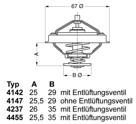 Thermostat, coolant - 4237.80D BorgWarner (Wahler)