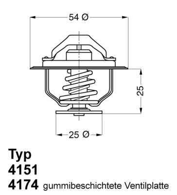 termostatas, aušinimo skystis - 4174.79D BorgWarner (Wahler)