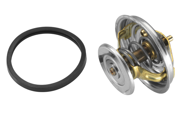 Thermostat, coolant - 4158.80D BorgWarner (Wahler)