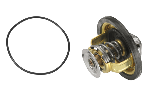 Thermostat, coolant - 4174.79D BorgWarner (Wahler)