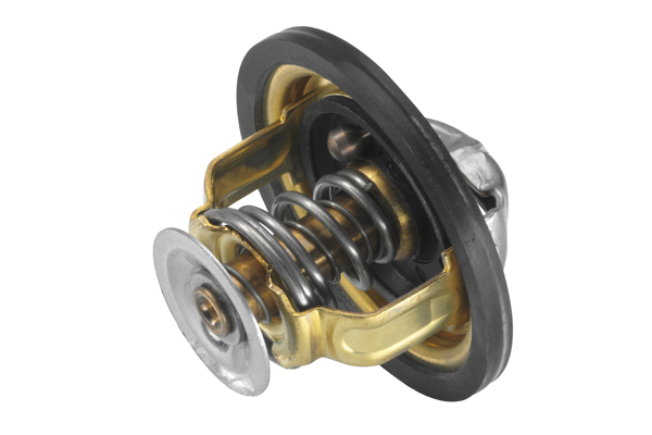 Termostato, Refrigerante - 4174.82D BorgWarner (Wahler)