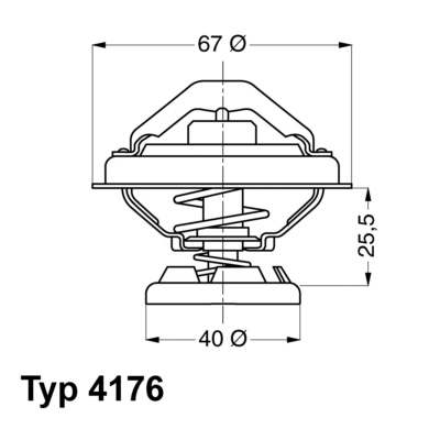 termostatas, aušinimo skystis - 4176.85D BorgWarner (Wahler)