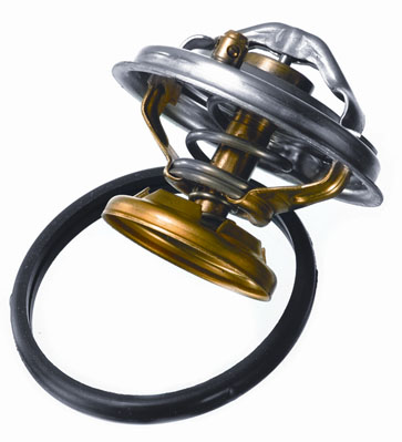 Thermostat, coolant - 4176.85D BorgWarner (Wahler)
