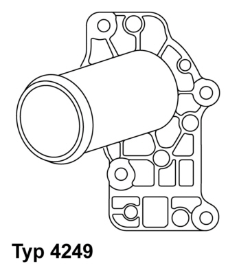 termostatas, aušinimo skystis - 4249.83D BorgWarner (Wahler)