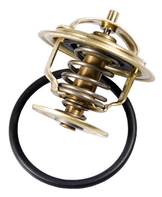 Termostato, Refrigerante - 4253.87D BorgWarner (Wahler)