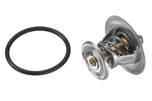 Thermostat, coolant - 4264.84D BorgWarner (Wahler)