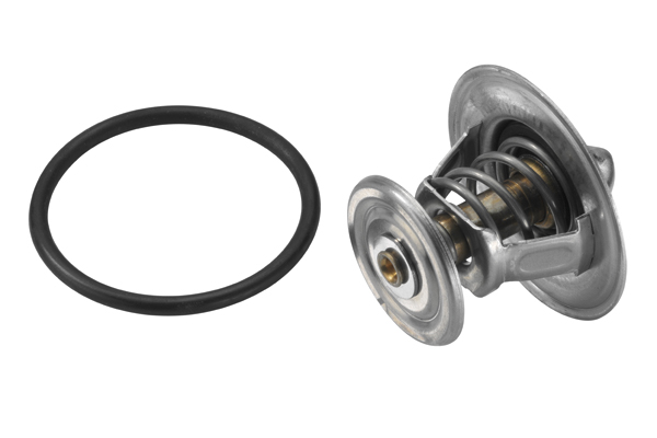 Thermostat, coolant - 4264.87D BorgWarner (Wahler)