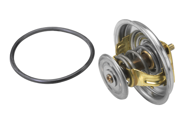 Thermostat, coolant - 4274.92D BorgWarner (Wahler)