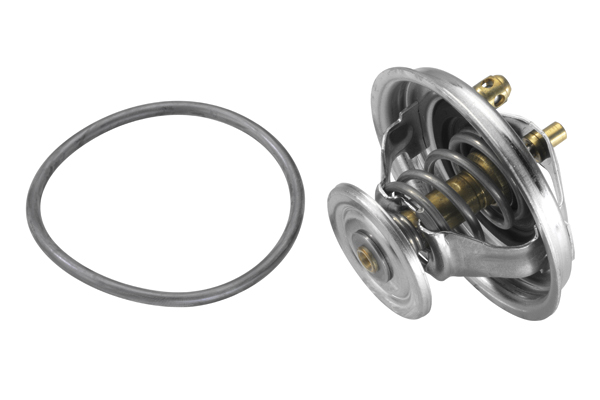 Thermostat, coolant - 4455.80D BorgWarner (Wahler)