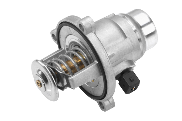 Termostato, Refrigerante - 4508.101D BorgWarner (Wahler)