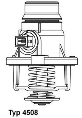 Termostato, Refrigerante - 4508.101D BorgWarner (Wahler)