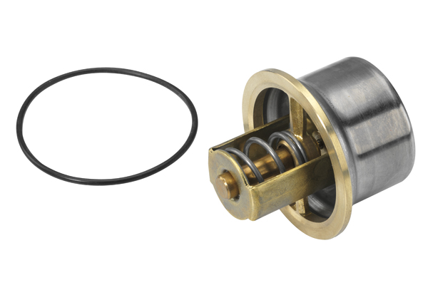Thermostat, coolant - 4621.80D BorgWarner (Wahler)