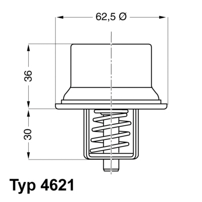 Termostato, Refrigerante - 4621.80D BorgWarner (Wahler)