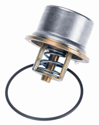 Thermostat, coolant - 4621.80D BorgWarner (Wahler)