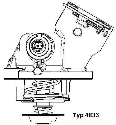 termostatas, aušinimo skystis - 4833.100D BorgWarner (Wahler)