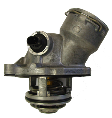 Termostato, Refrigerante - 4834.100D BorgWarner (Wahler)