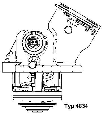 Termostato, Refrigerante - 4834.100D BorgWarner (Wahler)