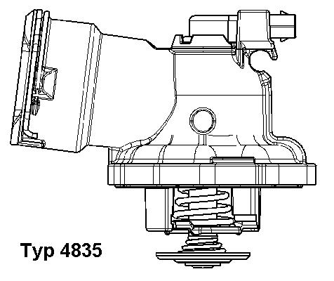 Thermostat, coolant - 4835.87D BorgWarner (Wahler)