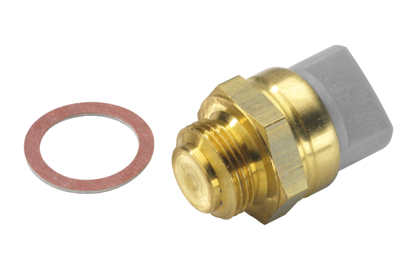 Termocontatto, Ventola radiatore - 6017.85D BorgWarner (Wahler)
