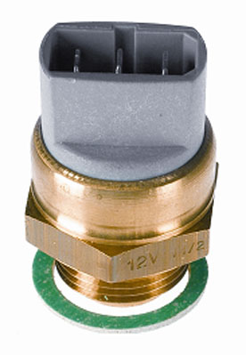 Termocontatto, Ventola radiatore - 6017.85D BorgWarner (Wahler)