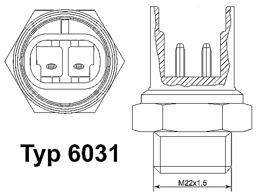 Temperature Switch, radiator fan - 6031.105D BorgWarner (Wahler)