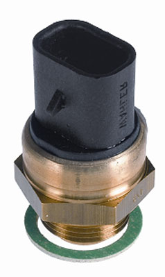 Temperature Switch, radiator fan - 6031.105D BorgWarner (Wahler)