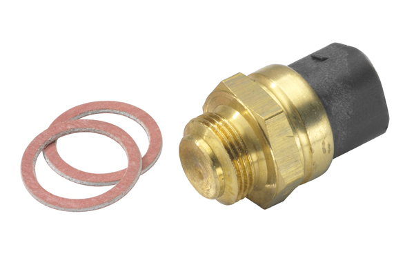 Temperature Switch, radiator fan - 6039.95D BorgWarner (Wahler)
