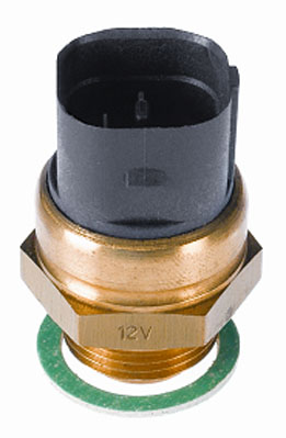 Temperature Switch, radiator fan - 6039.95D BorgWarner (Wahler)