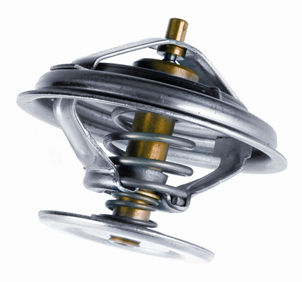 Thermostat, coolant - 4049.87D BorgWarner (Wahler)