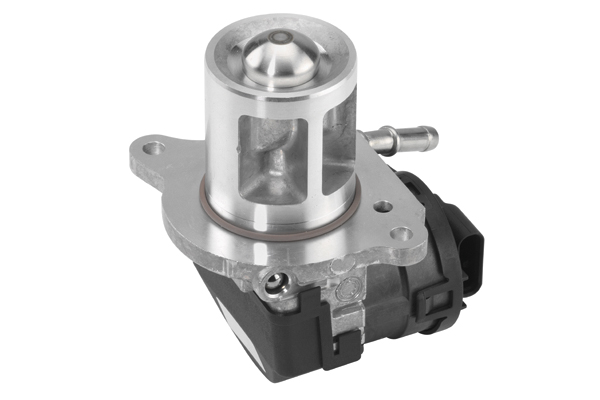 EGR Valve - 710095D BorgWarner (Wahler)