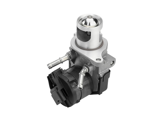 EGR Valve - 710327D/1 BorgWarner (Wahler)