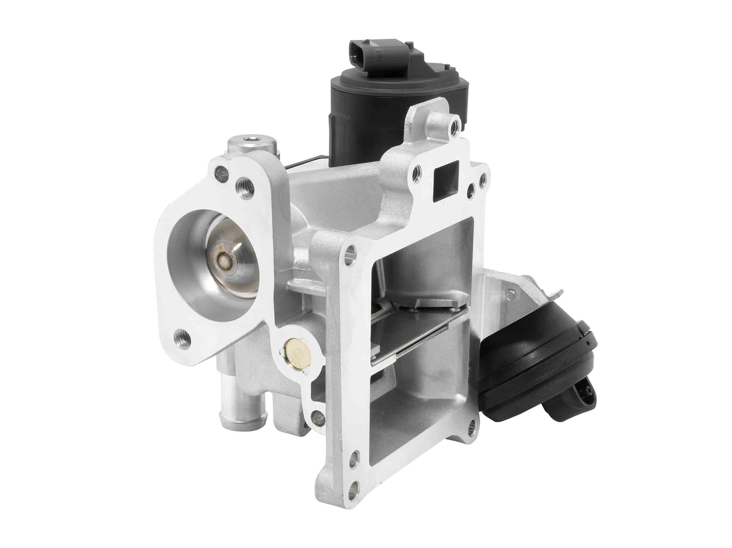 Valvola ricircolo gas scarico-EGR - 710488D0 BorgWarner (Wahler)