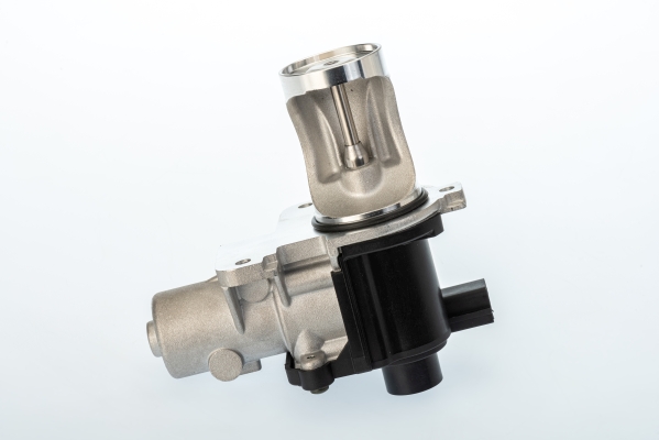 EGR Valve - 710571D BorgWarner (Wahler)