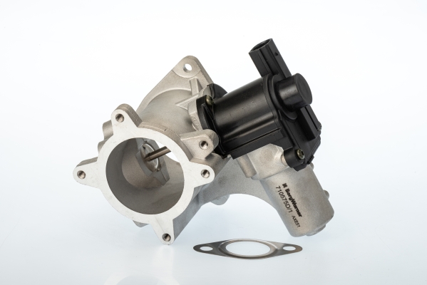 EGR Valve - 710575D BorgWarner (Wahler)