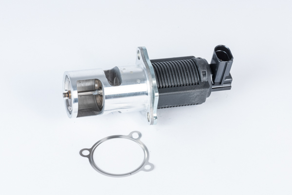 EGR Valve - 710723D BorgWarner (Wahler)