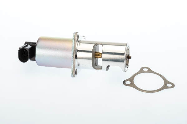 EGR Valve - 710725D BorgWarner (Wahler)