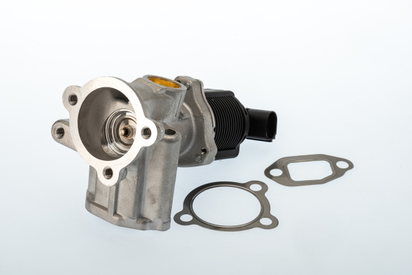 Valvola ricircolo gas scarico-EGR - 710773D BorgWarner (Wahler)